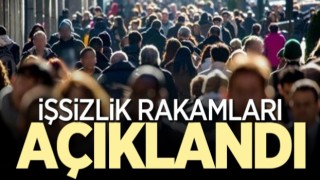 Aralık ayı işsizlik rakamları açıklandı