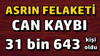 Asrın felaketinde 8'inci gün: Can kaybı 31 bin 643 kişi oldu