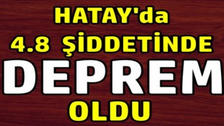 Hatay'da 4,8 şiddetinde deprem oldu