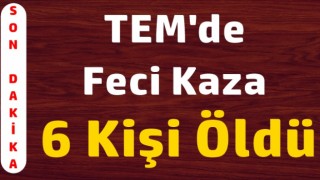 Tem'de feci kaza, 6 kişi öldü