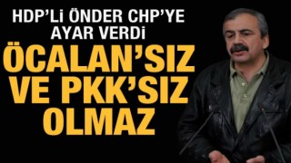 HDP'li Sırrı Süreyya Önder'den skandal sözler: Öcalan'sız ve PKK'sız olmaz