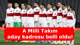 A Milli Takım aday kadrosu belli oldu!