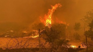 İletişim Başkanı Altun: “Çanakkale’deki orman yangını bölgesinden, 736 vatandaşımız tedbir amaçlı tahliye edilmiştir”