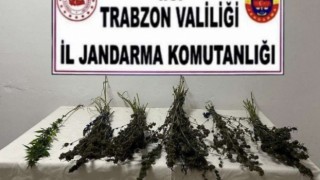 Trabzon’da Narkotik Operasyon