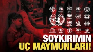 Uluslararası kuruluşlar Gazze'deki soykırıma kör! UNICEF, WHO, IEA, WFP, UNIFEM nerede?