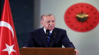 Erdoğan: Başıboş sokak hayvanlarıyla ilgili artan şikâyetlerin farkındayız