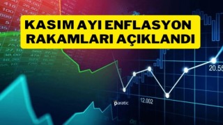 Kasım ayı enflasyon rakamları açıklandı